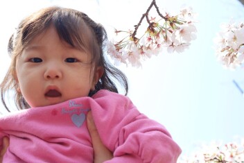 お花見に行ってきました！！